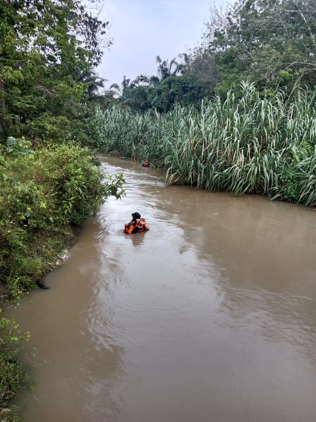 WhatsApp Image 2025-03-24 at 19.34.04