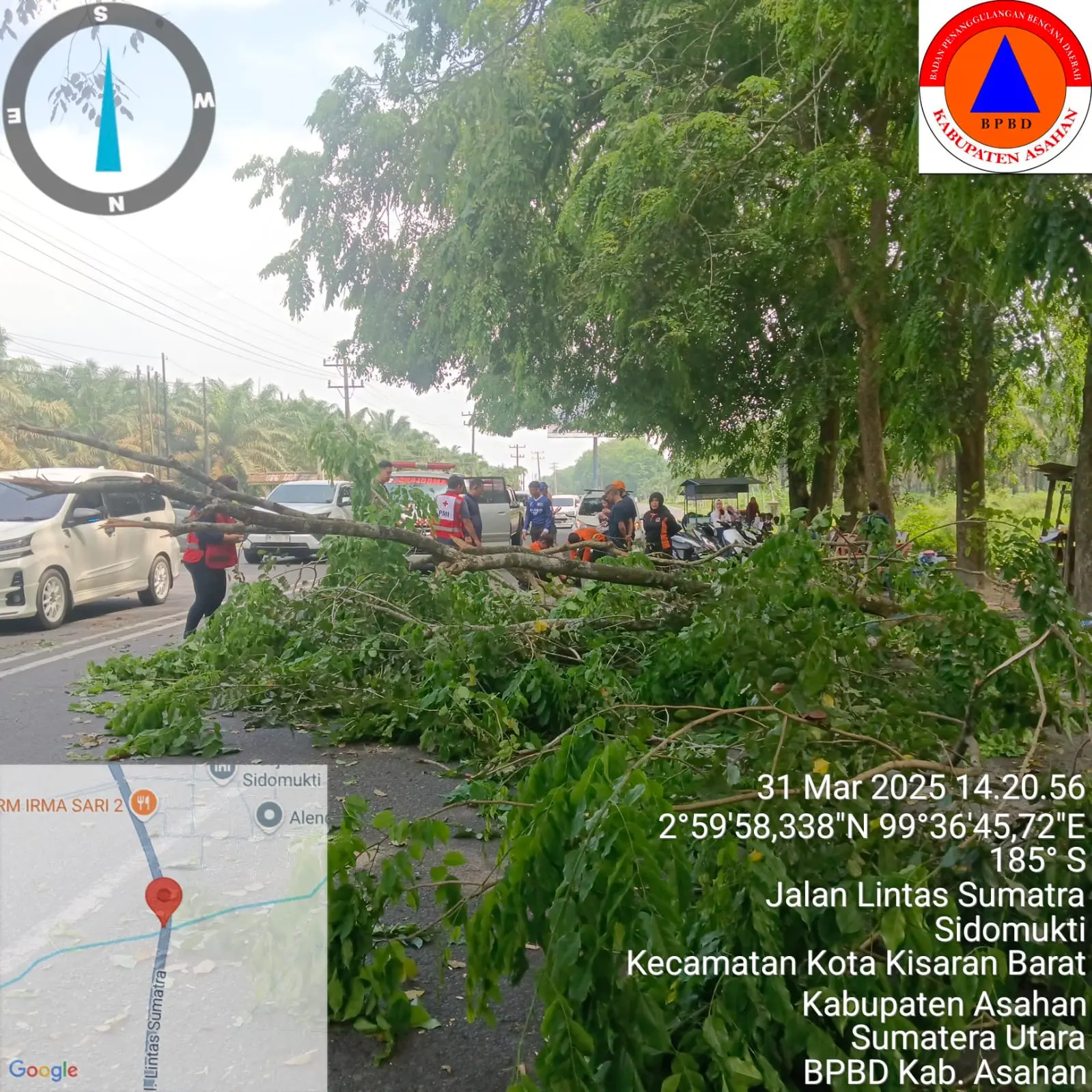 WhatsApp Image 2025-03-31 at 14.45.53 (1)