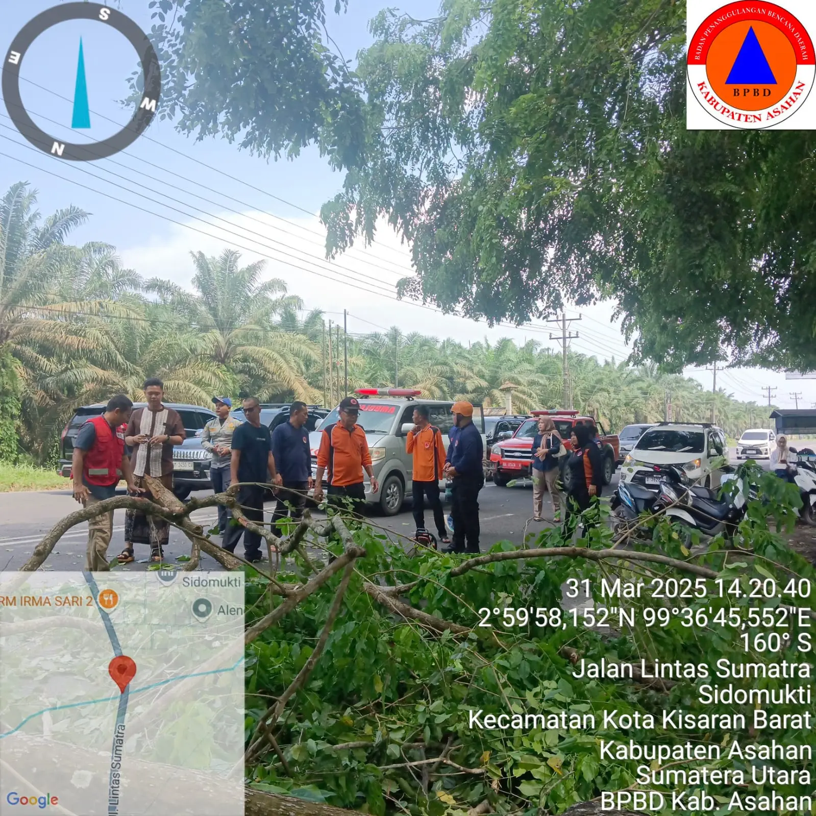 WhatsApp Image 2025-03-31 at 14.45.53