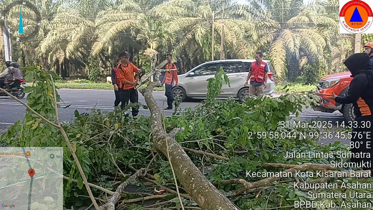 WhatsApp Image 2025-03-31 at 14.45.54 (2)