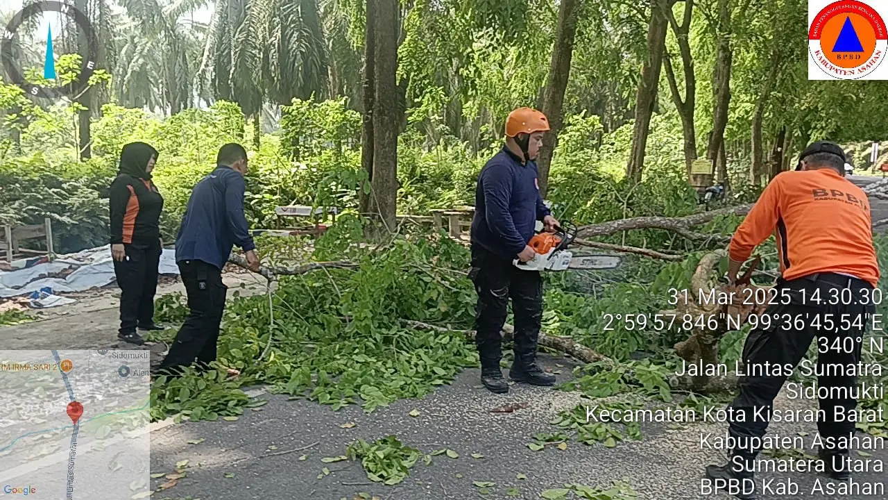 WhatsApp Image 2025-03-31 at 14.45.54