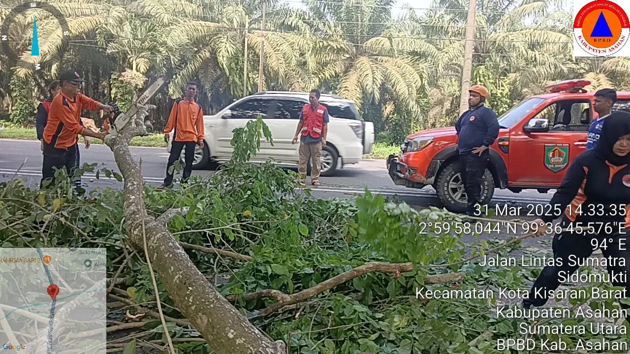 WhatsApp Image 2025-03-31 at 14.45.55 (1)