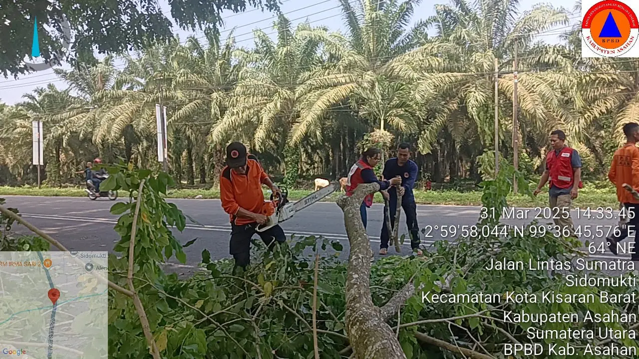 WhatsApp Image 2025-03-31 at 14.45.55