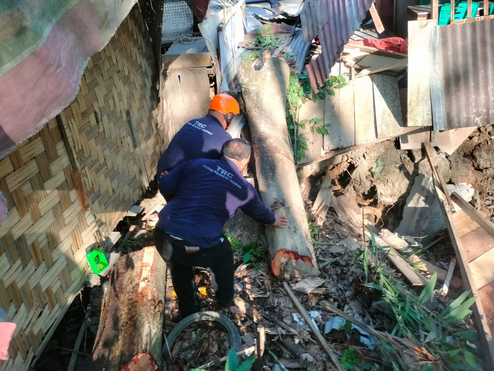 WhatsApp Image 2025-04-01 at 18.35.12