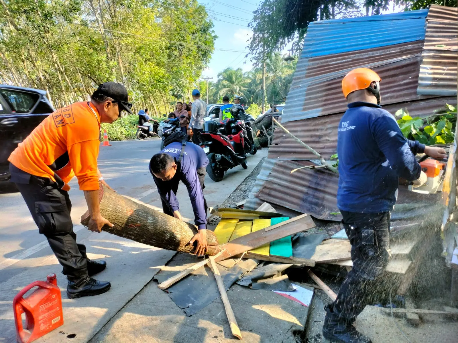 WhatsApp Image 2025-04-01 at 18.35.14 (1)