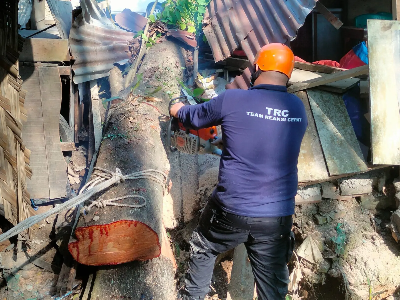 WhatsApp Image 2025-04-01 at 18.35.15 (1)