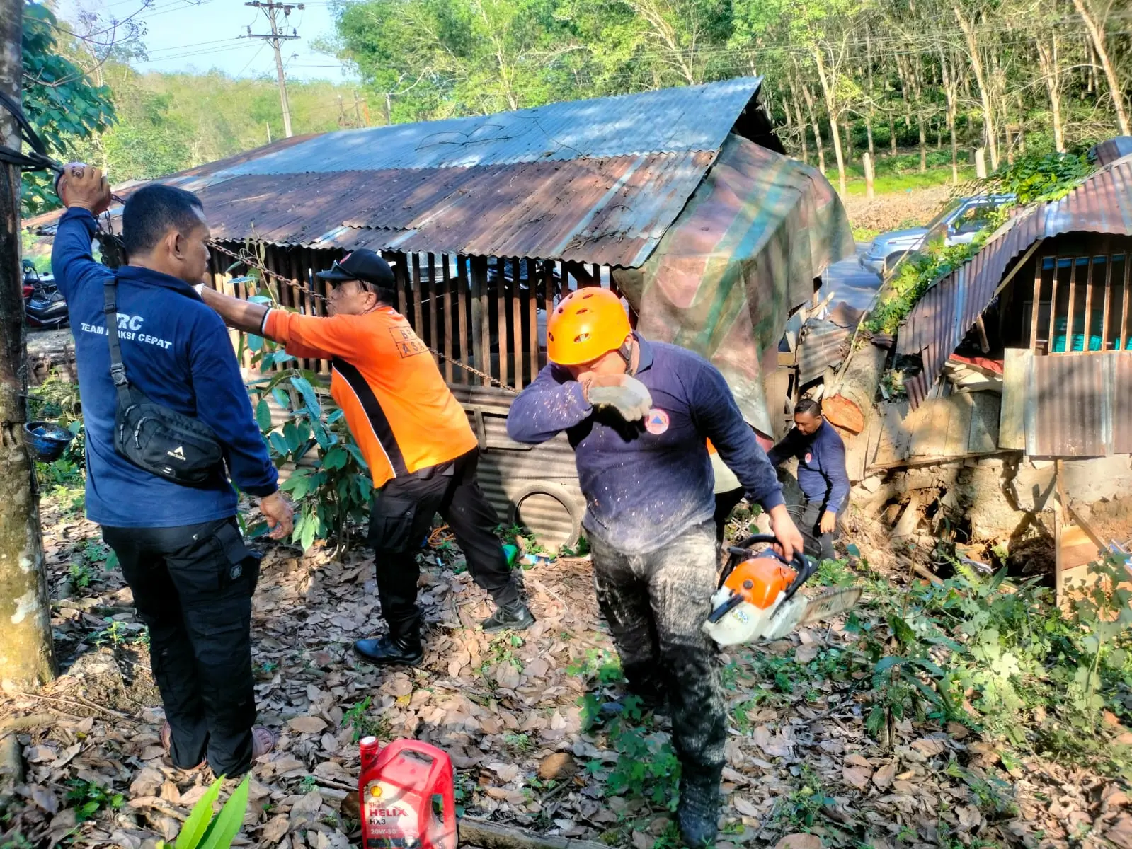 WhatsApp Image 2025-04-01 at 18.35.15 (2)