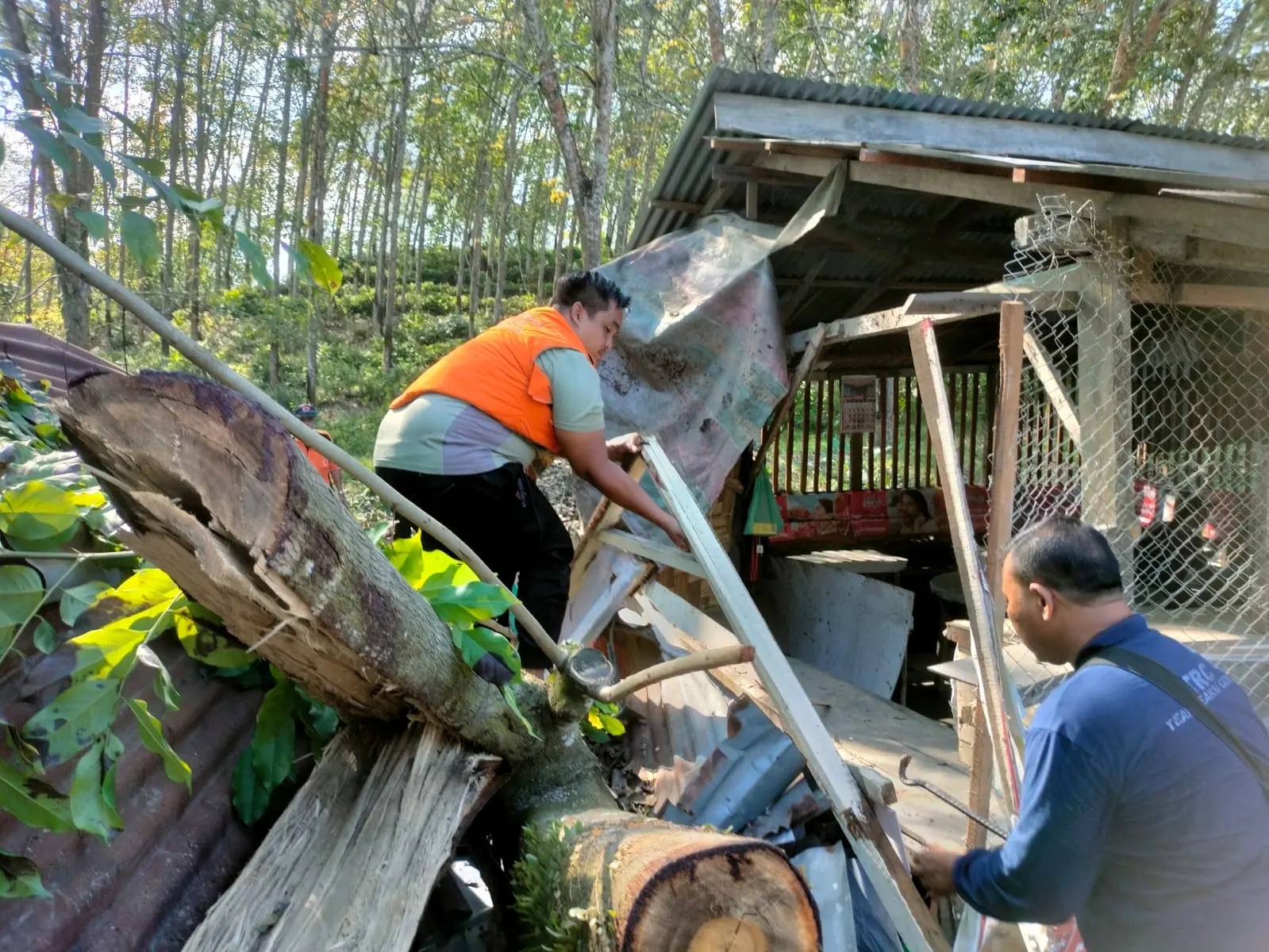 WhatsApp Image 2025-04-01 at 18.35.17