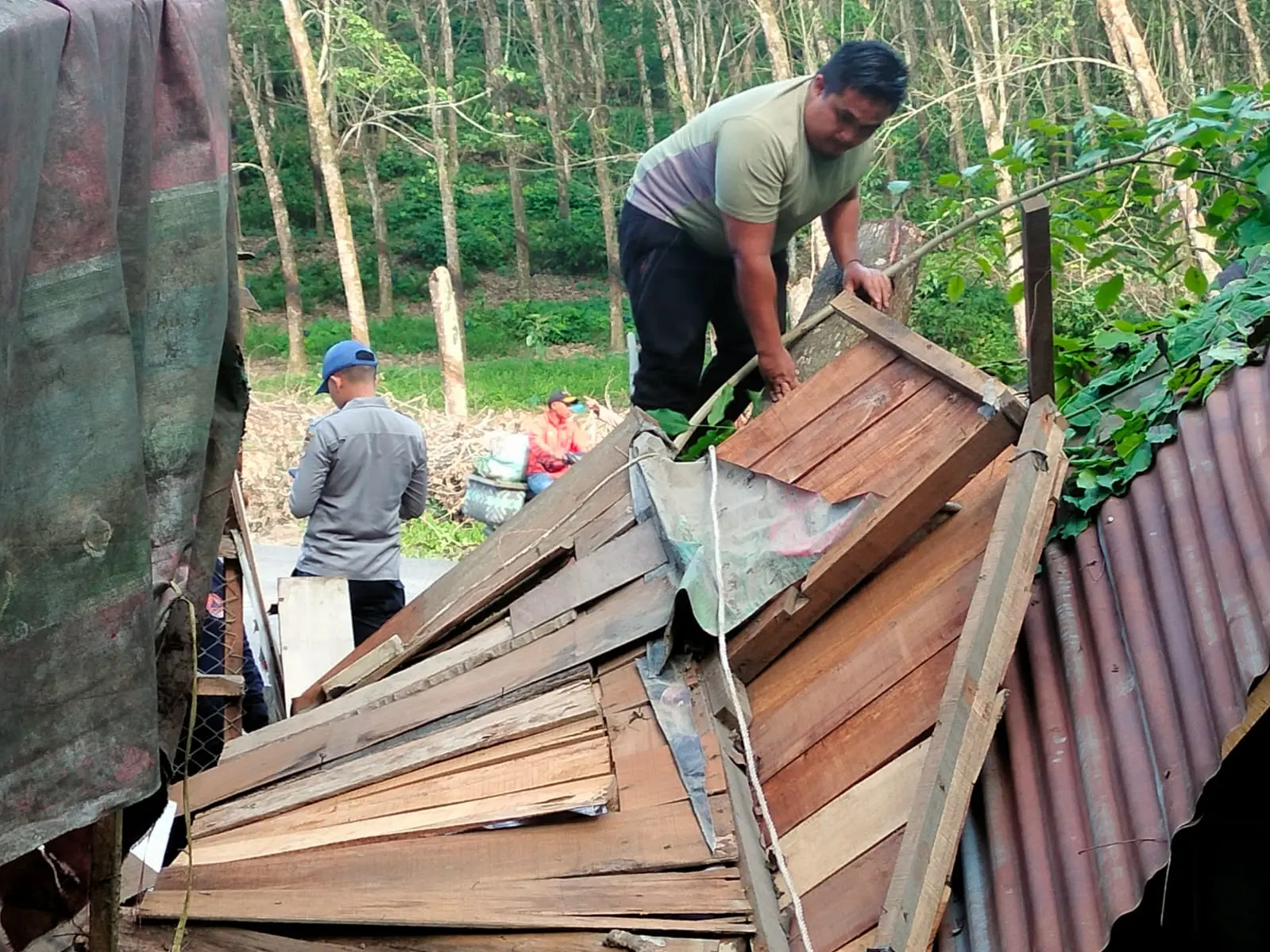 WhatsApp Image 2025-04-01 at 18.35.18 (1)