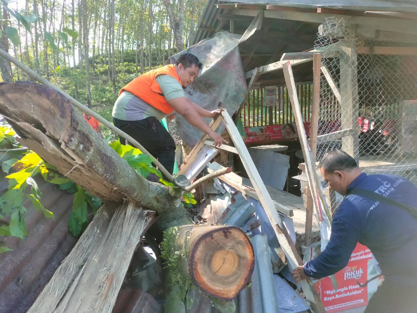 WhatsApp Image 2025-04-01 at 18.35.18