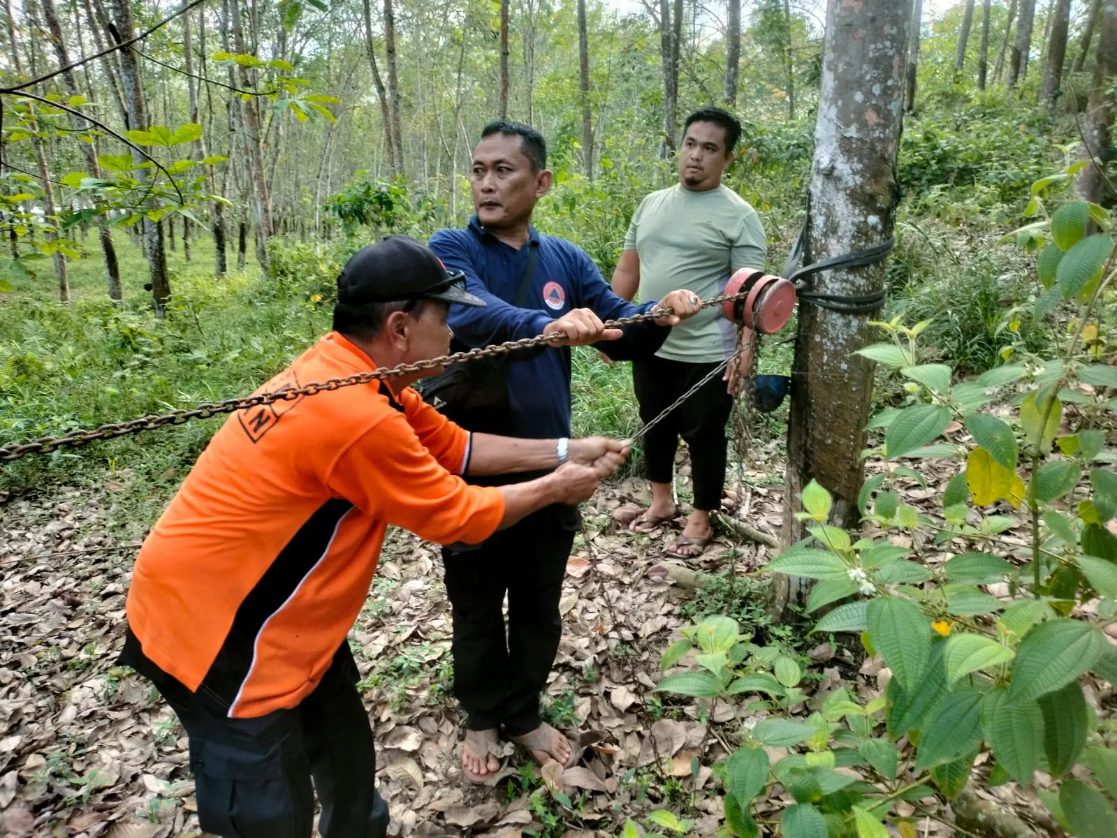 WhatsApp Image 2025-04-01 at 18.35.19 (1)