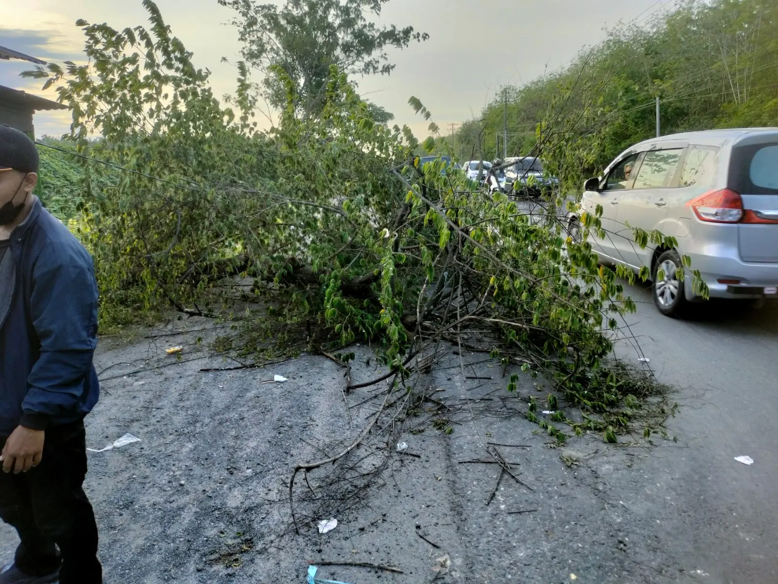 WhatsApp Image 2025-04-01 at 18.35.32 (1)