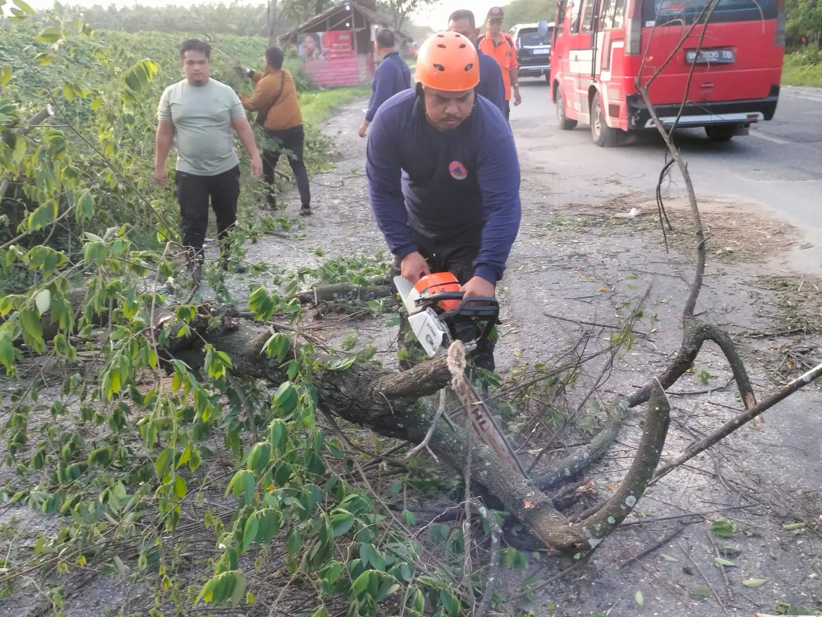 WhatsApp Image 2025-04-01 at 18.35.33