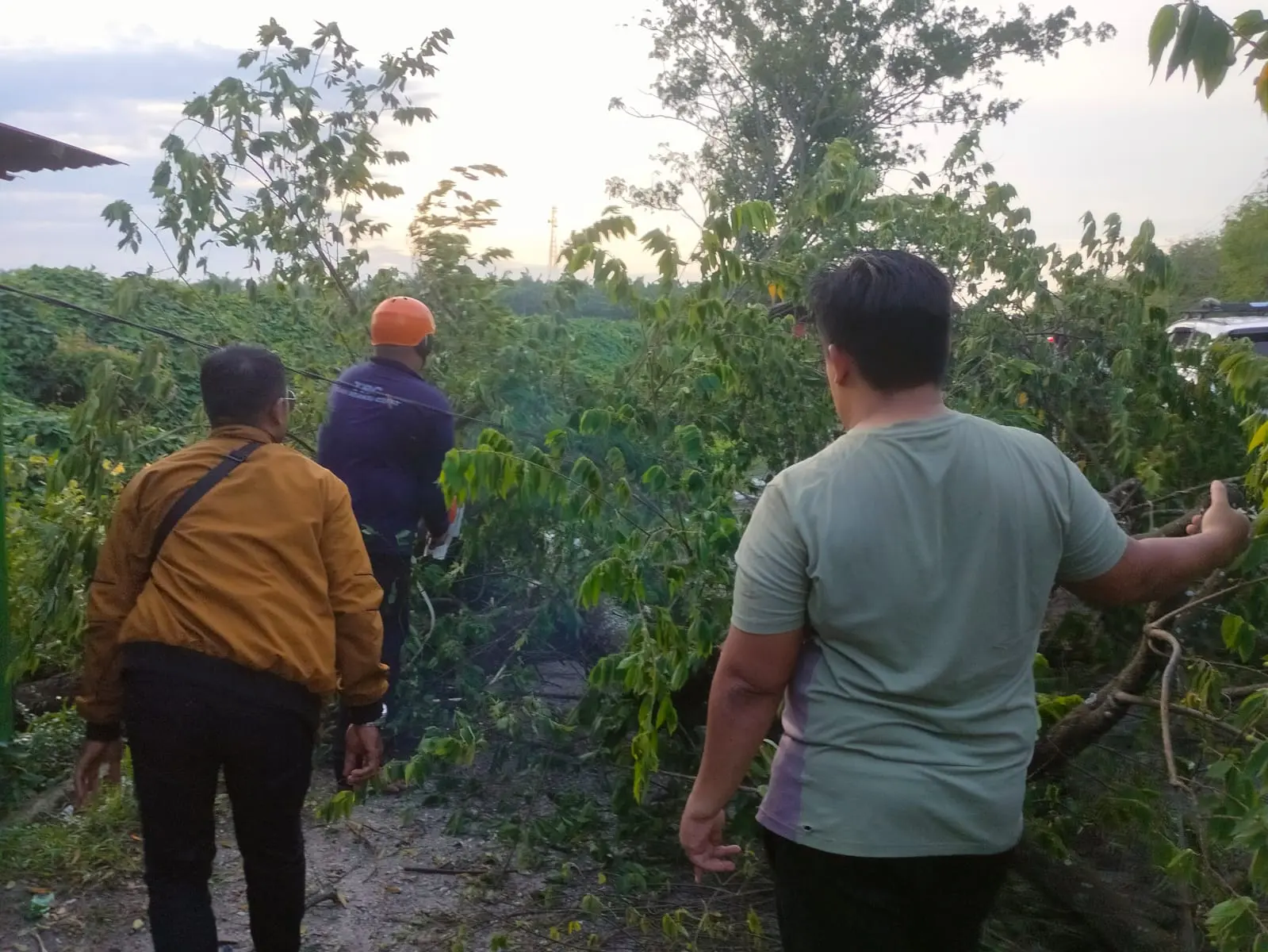 WhatsApp Image 2025-04-01 at 18.35.34 (1)