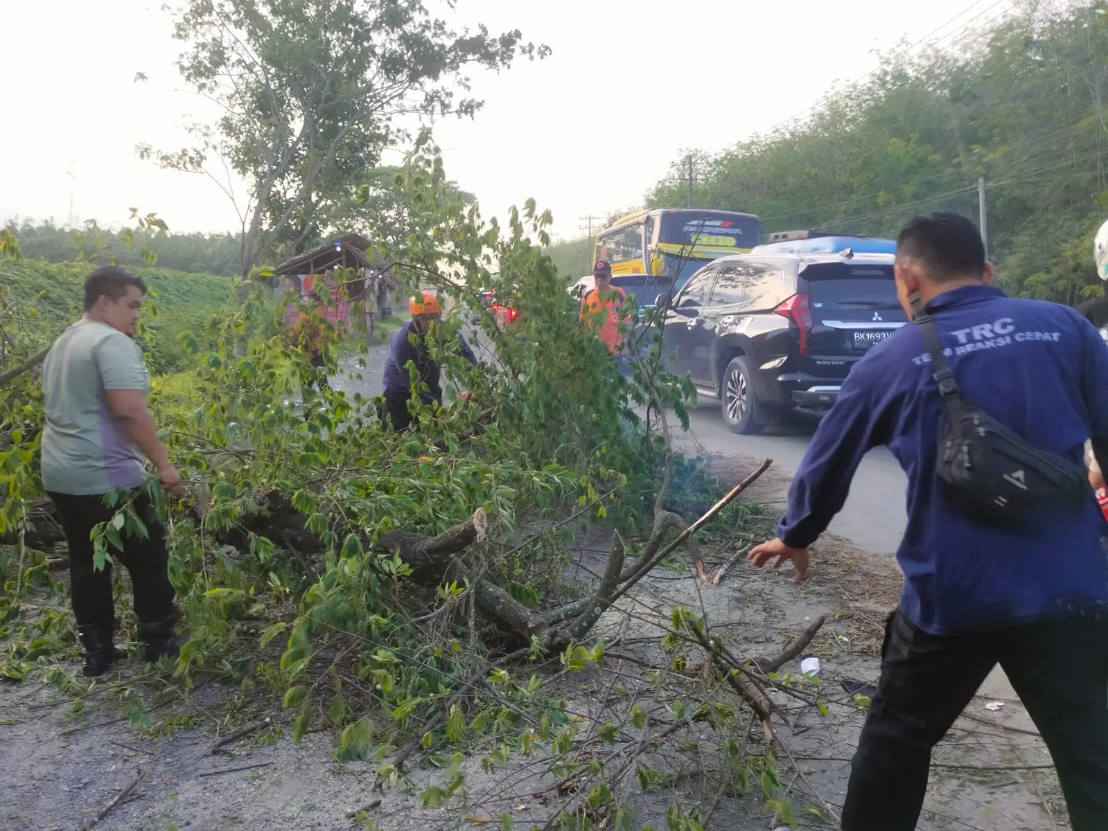 WhatsApp Image 2025-04-01 at 18.35.34