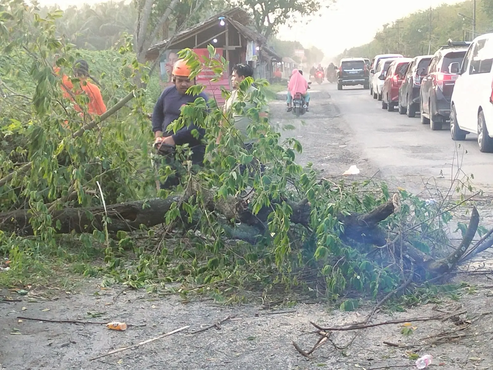 WhatsApp Image 2025-04-01 at 18.35.35 (2)