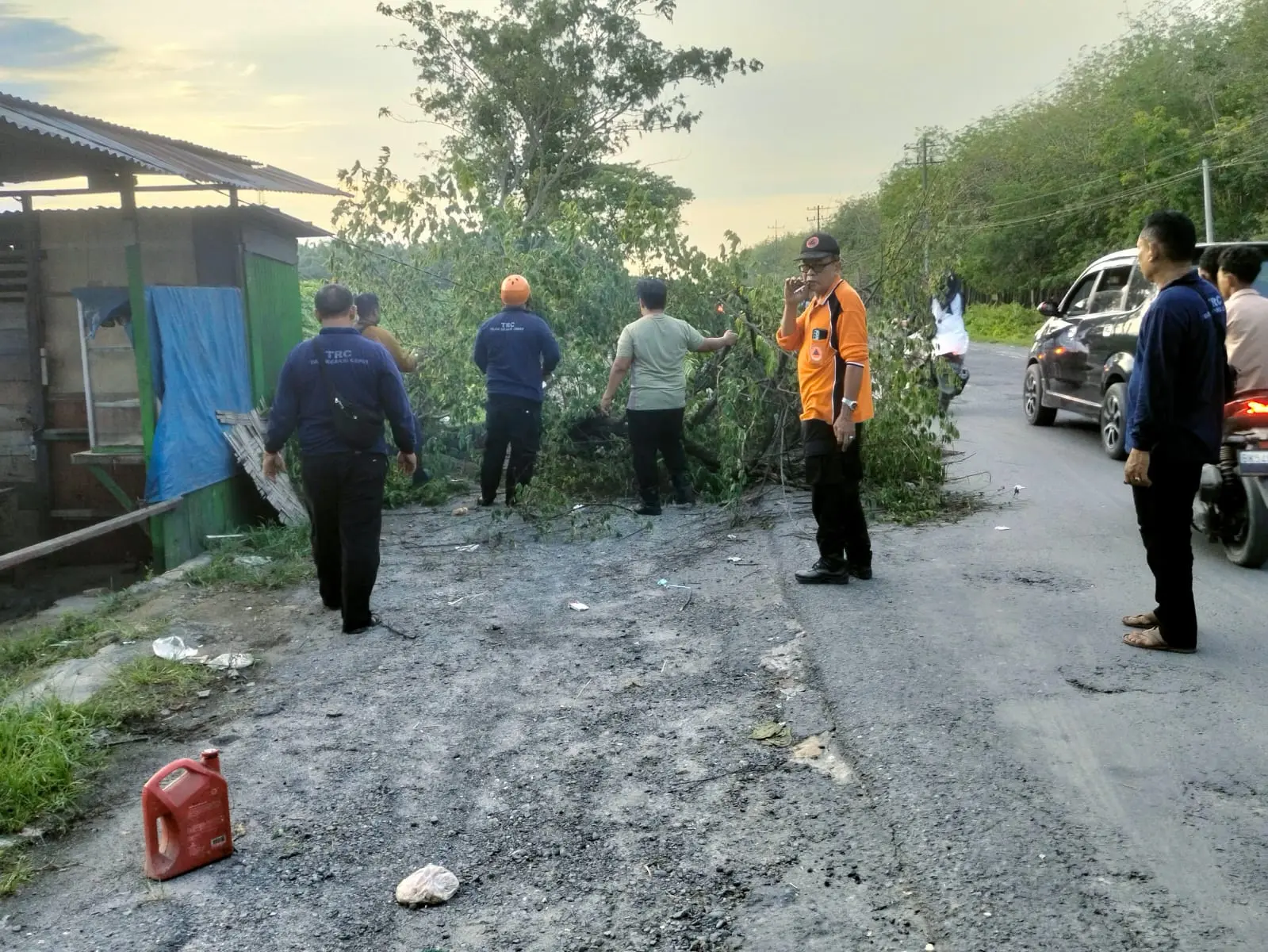 WhatsApp Image 2025-04-01 at 18.35.35