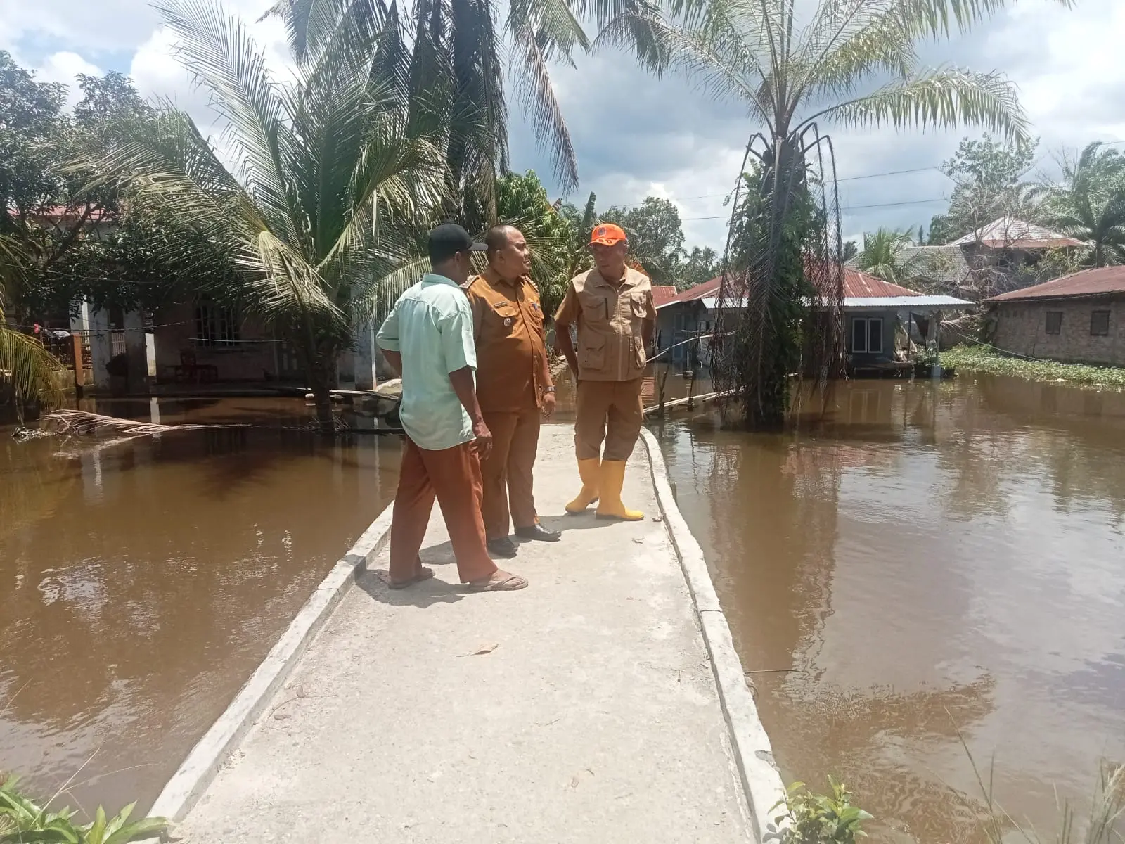 WhatsApp Image 2025-04-08 at 14.55.31