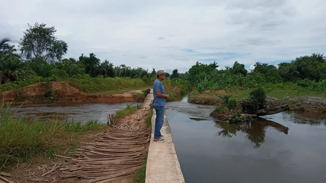 WhatsApp Image 2025-04-18 at 17.52.59