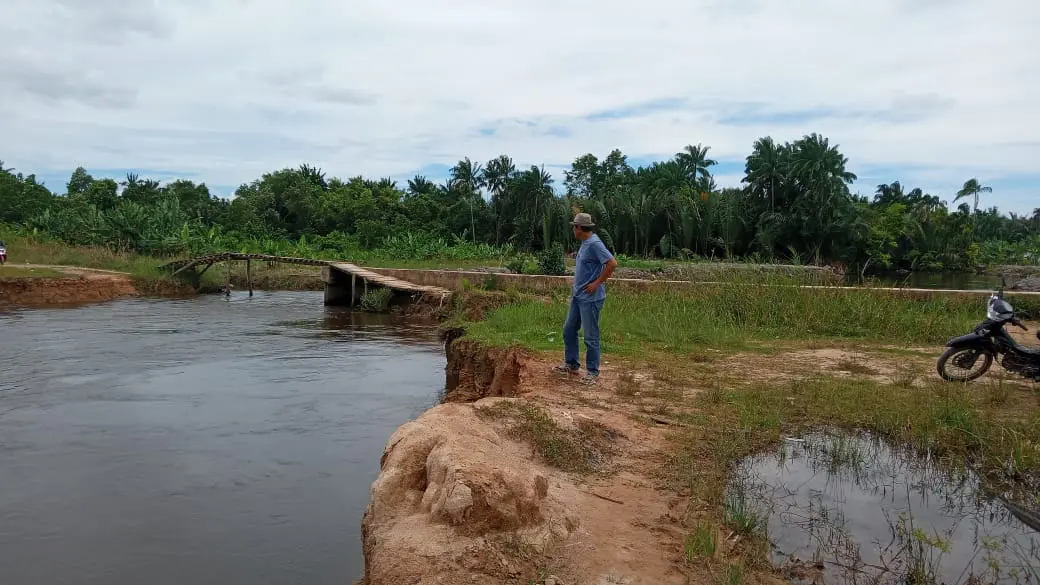 WhatsApp Image 2025-04-18 at 17.53.00