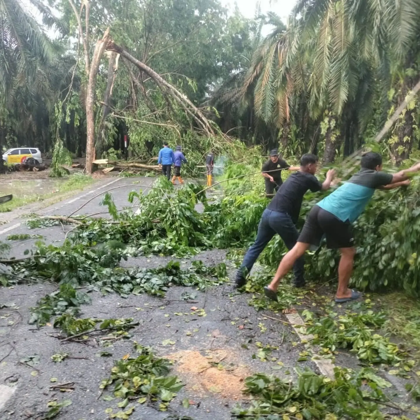 497197989_17957013296940774_6923456072232811455_n