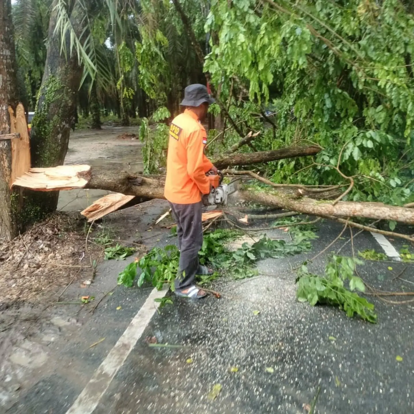 497235004_17957013287940774_7084037465557391866_n