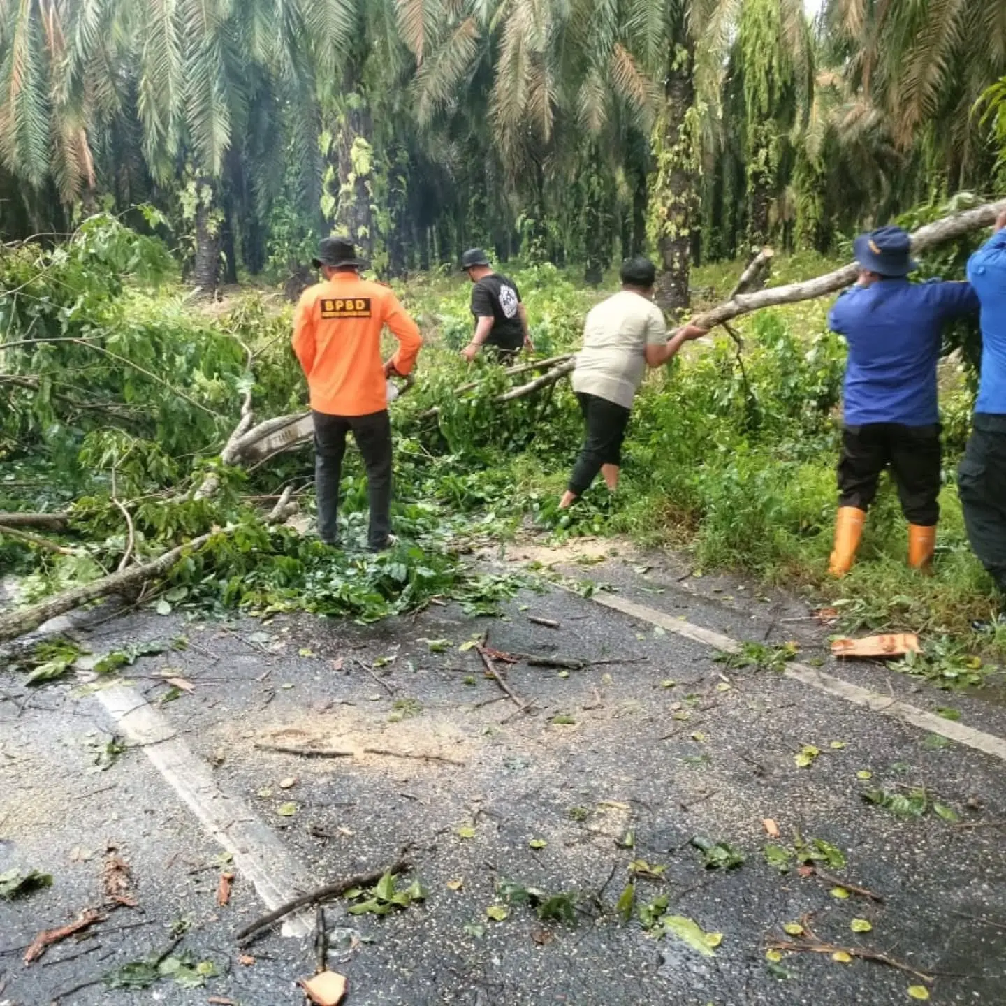 497281492_17957013305940774_6067935072423691212_n