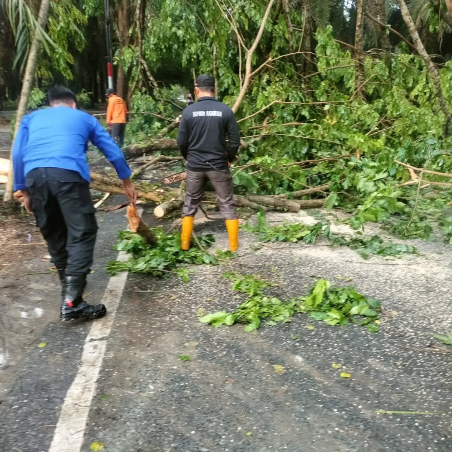 497745632_17957013266940774_1187679512714554875_n