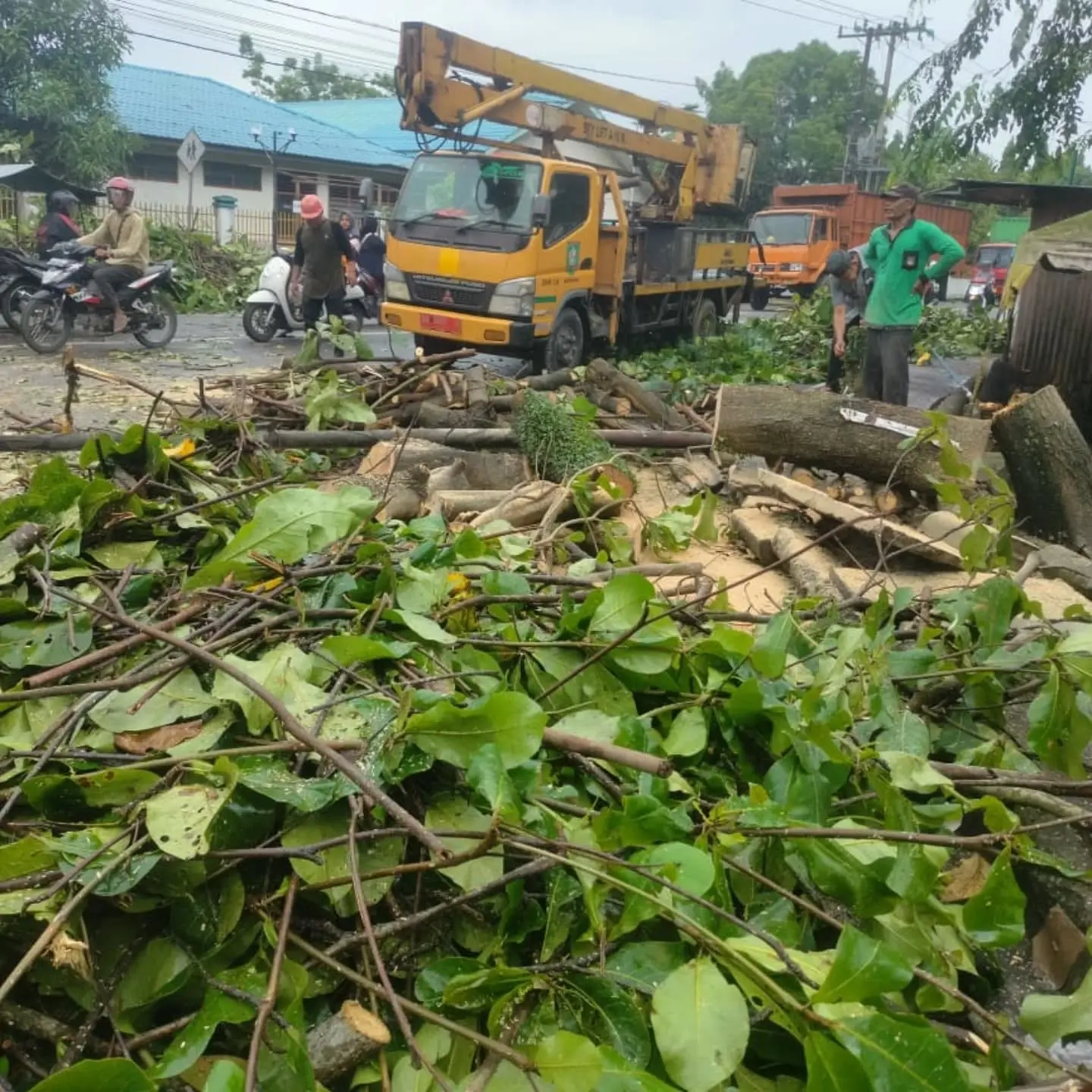 502273226_17958888086940774_717825802764603818_n