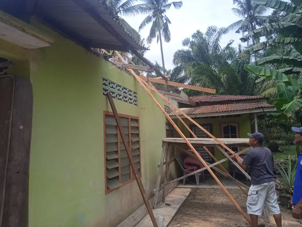 WhatsApp Image 2025-05-29 at 14.46.52