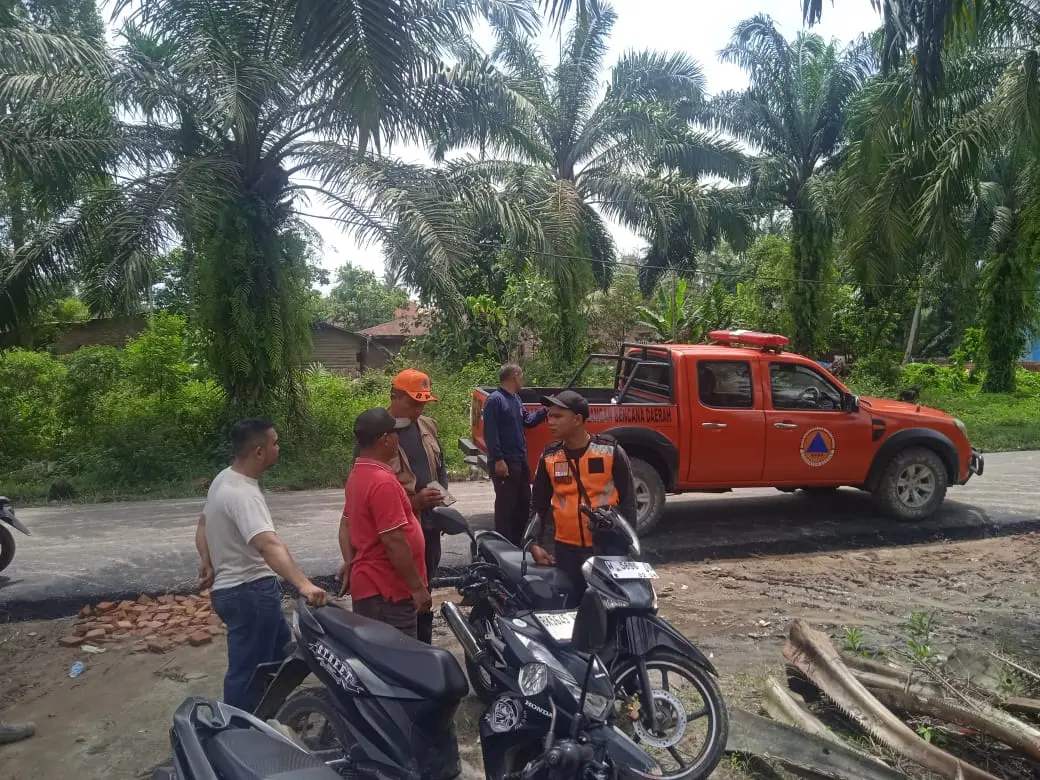 WhatsApp Image 2025-05-29 at 14.46.53