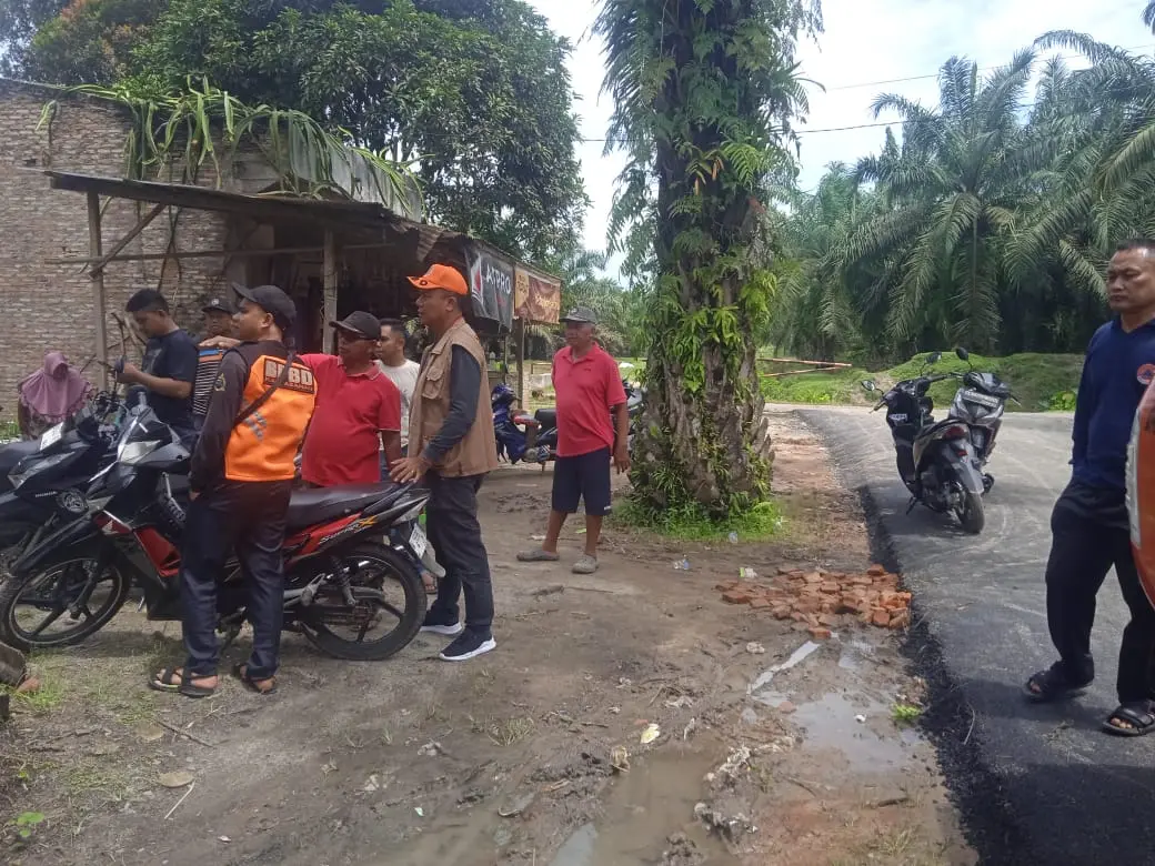 WhatsApp Image 2025-05-29 at 14.46.54 (1)