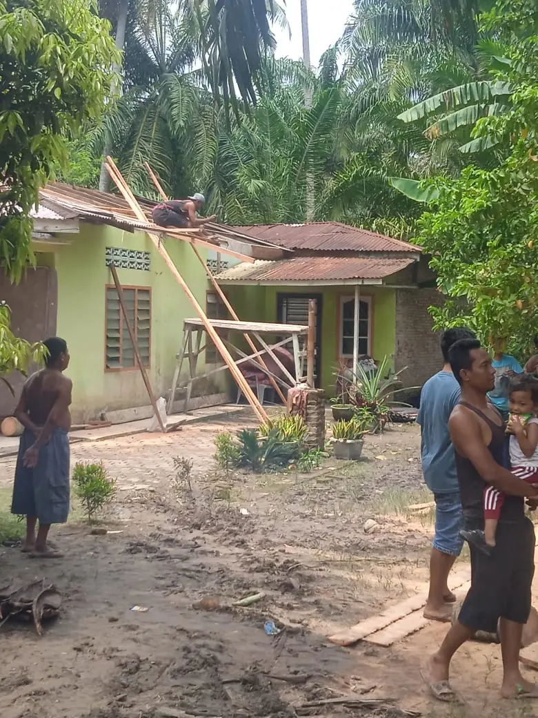 WhatsApp Image 2025-05-29 at 14.46.57 (1)