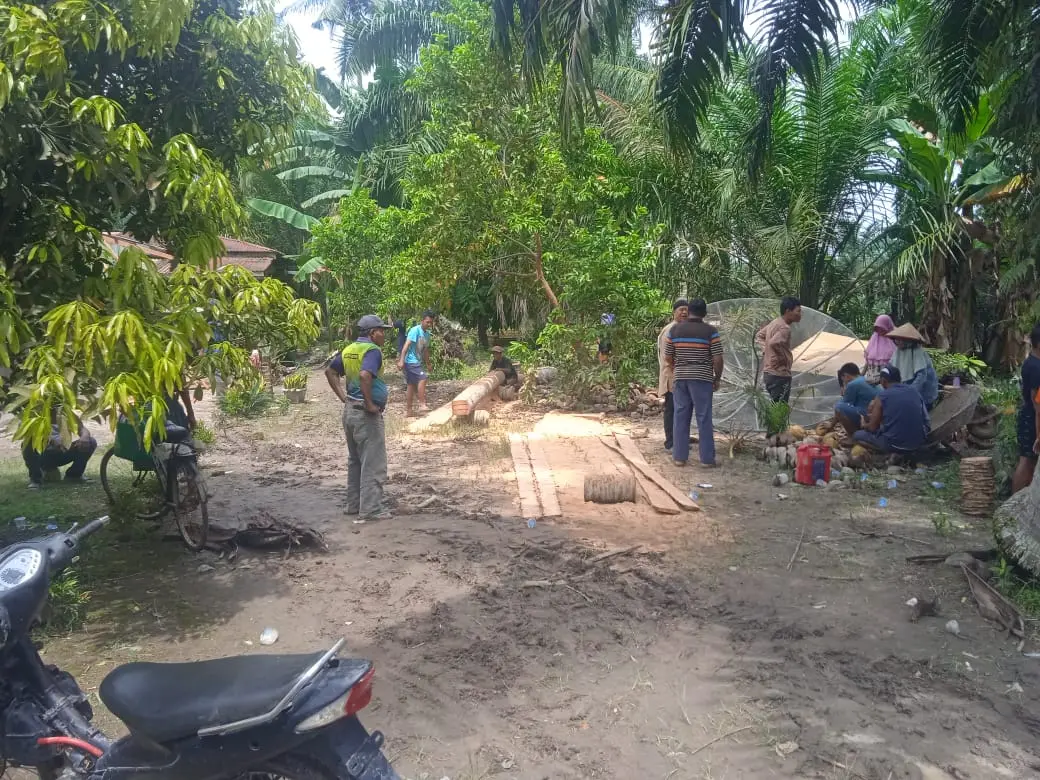 WhatsApp Image 2025-05-29 at 14.47.31