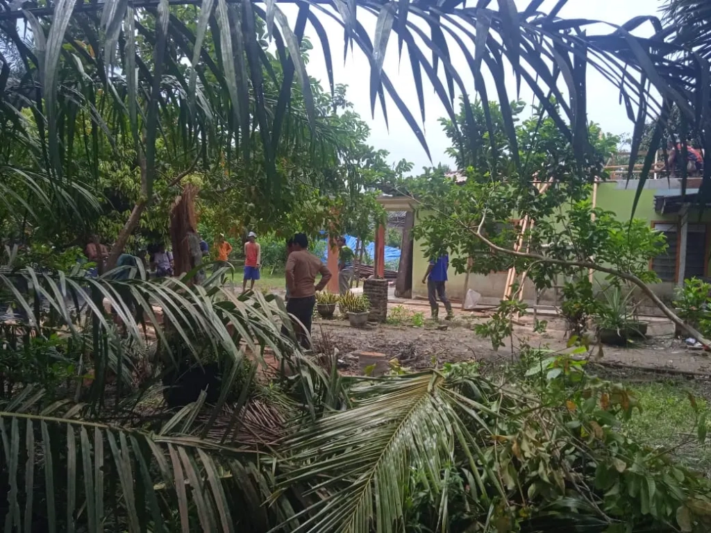 WhatsApp Image 2025-05-29 at 14.47.32