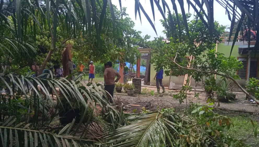 WhatsApp Image 2025-05-29 at 14.47.32