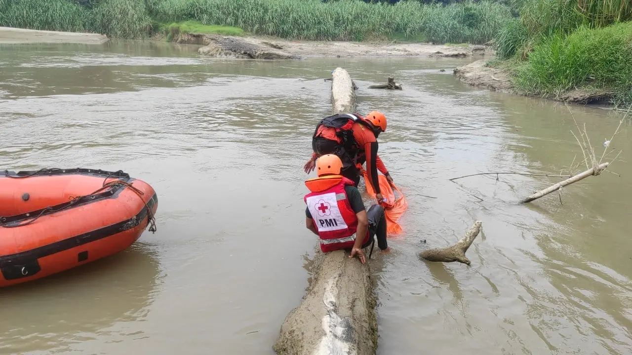 WhatsApp Image 2025-07-03 at 11.23.46