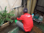 DLH Menghadiri rapat paripurna DPRD, Selasa (08/07/2025).
