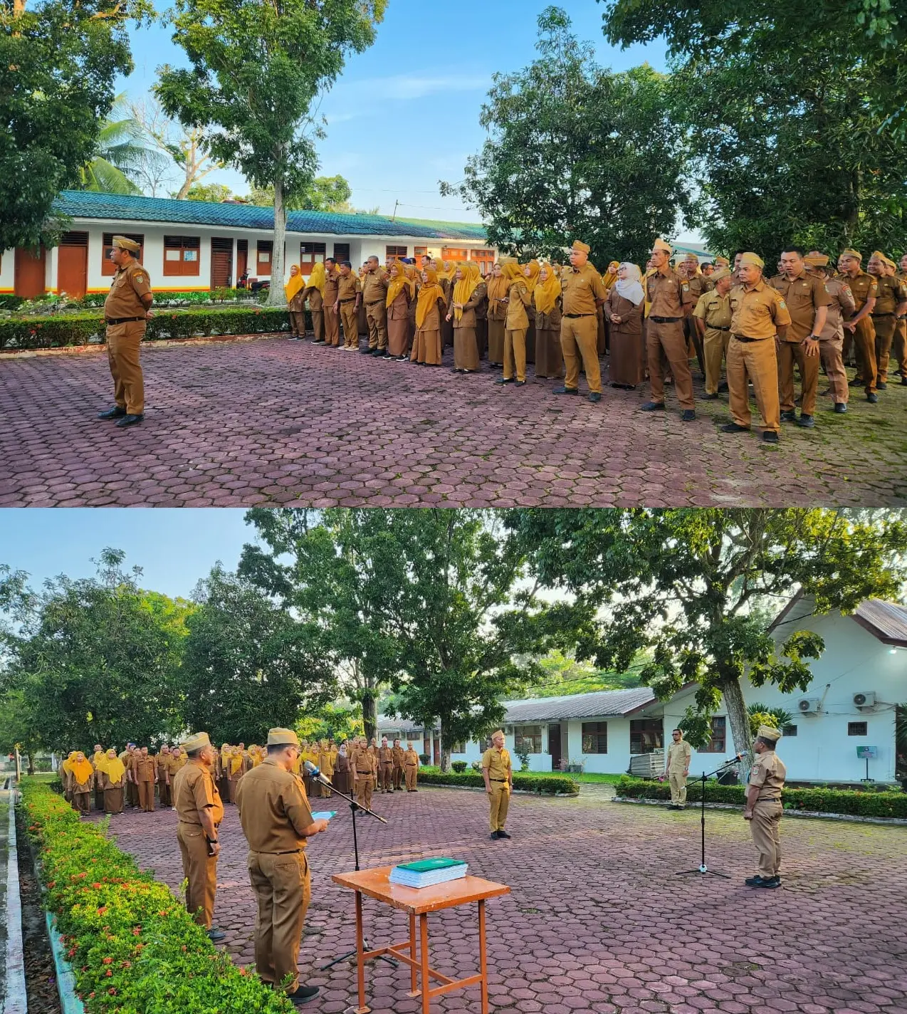 WhatsApp Image 2026-01-12 at 09.22.55