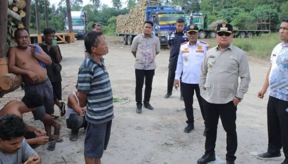 Penertiban Kayu
