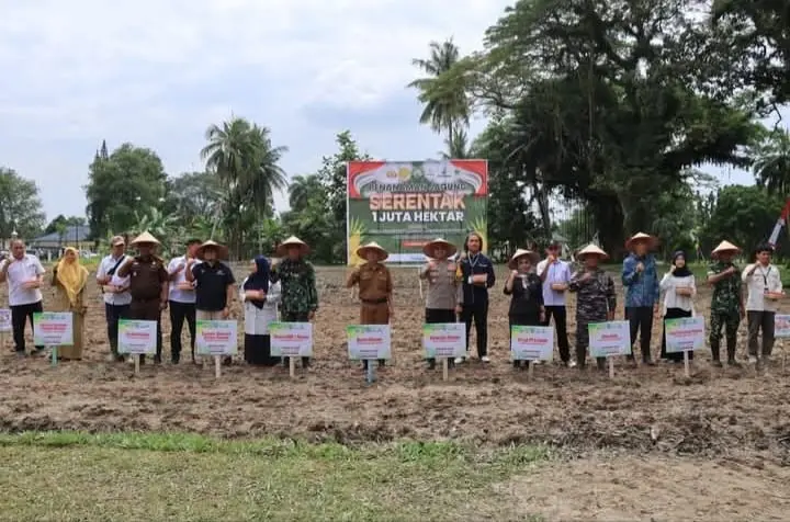 Penanaman Jagung Serentak