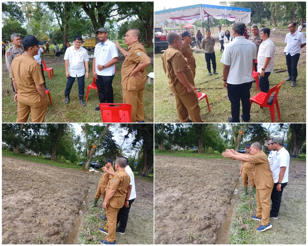 Monitoring penanaman jagung serentak