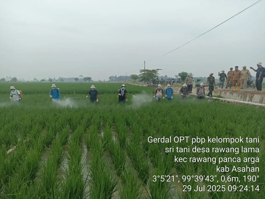 WhatsApp Image 2025-07-29 at 11.31.39