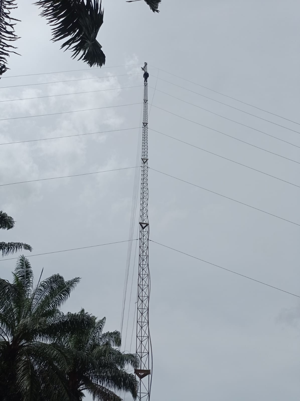  PERBAIKAN KONEKSI INTERNET DI KANTOR CAMAT BANDAR PULAU
