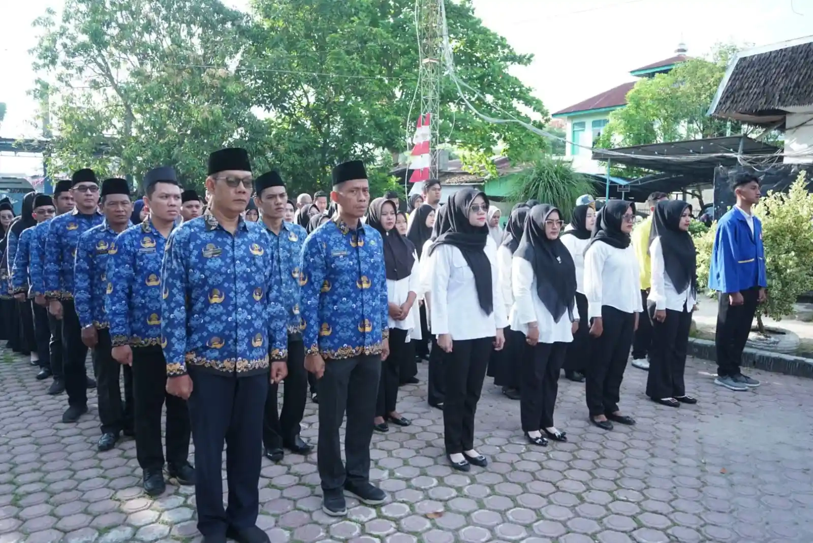 ezgif-8bc4f0633b50e8