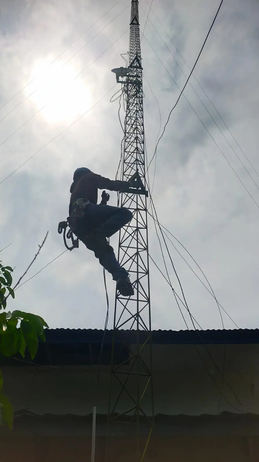 Perbaikan Jaringan Internet di Dinas Pertanian