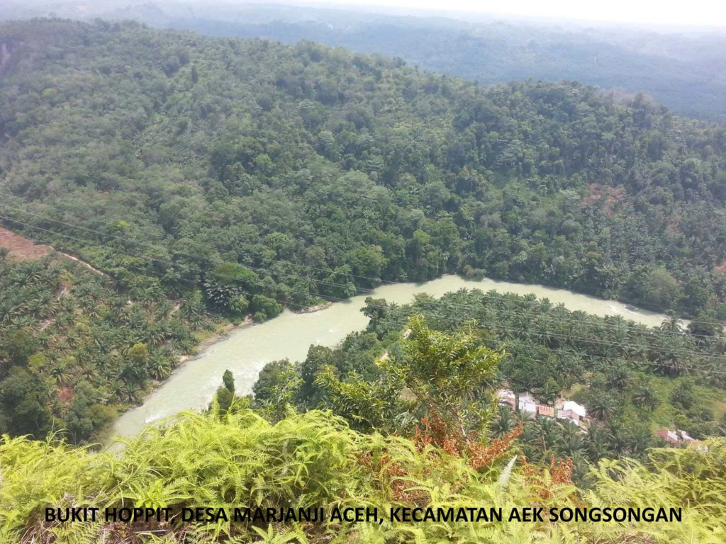 BUKIT_HOPPIT_001