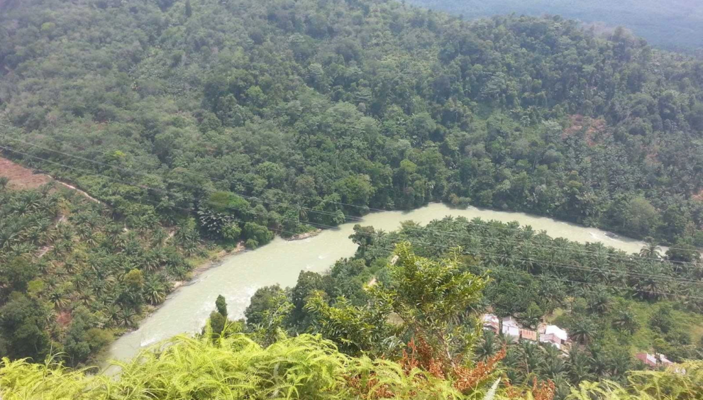 BUKIT_HOPPIT_001